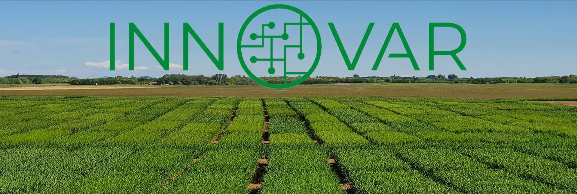 innovar1.jpg